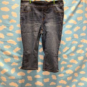 Lane Bryant pull on Jegging Pedal